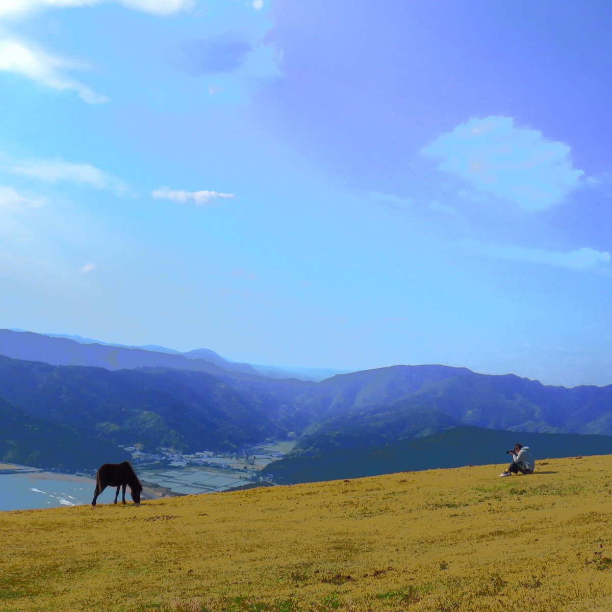 #都井岬
また会いに来たよ〜馬ちゃん(⌒▽⌒)