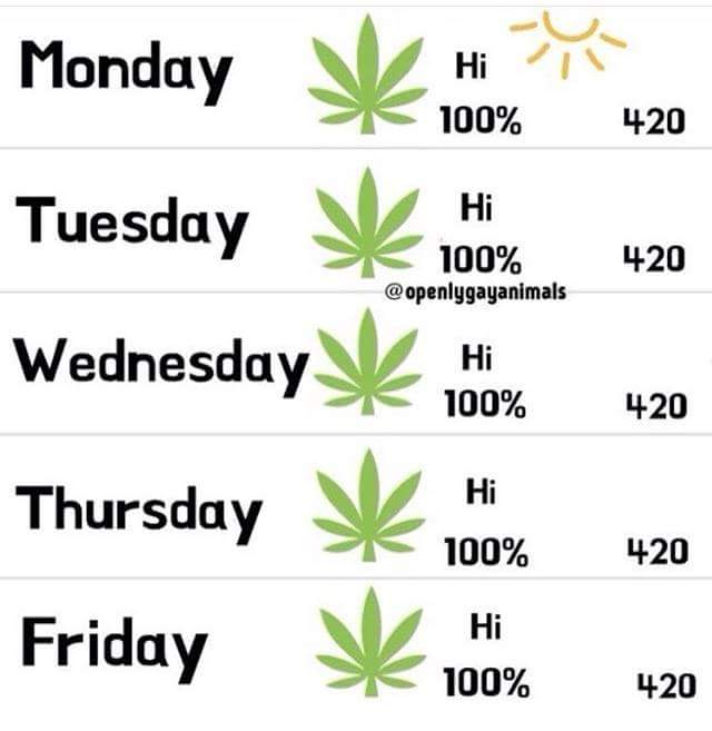 wizard_pants's tweet photo. Looks like a nice forecast for the week of our 4/20 episode
@PodDamnPod 
@JewComplains 
@ByronWarfield 
#PodDamn https://t.co/jb5AtArURK