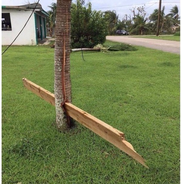 xexe_club's tweet image. Почему во время шторма стоит сидеть дома

 xexe.club/100105-pochemu…