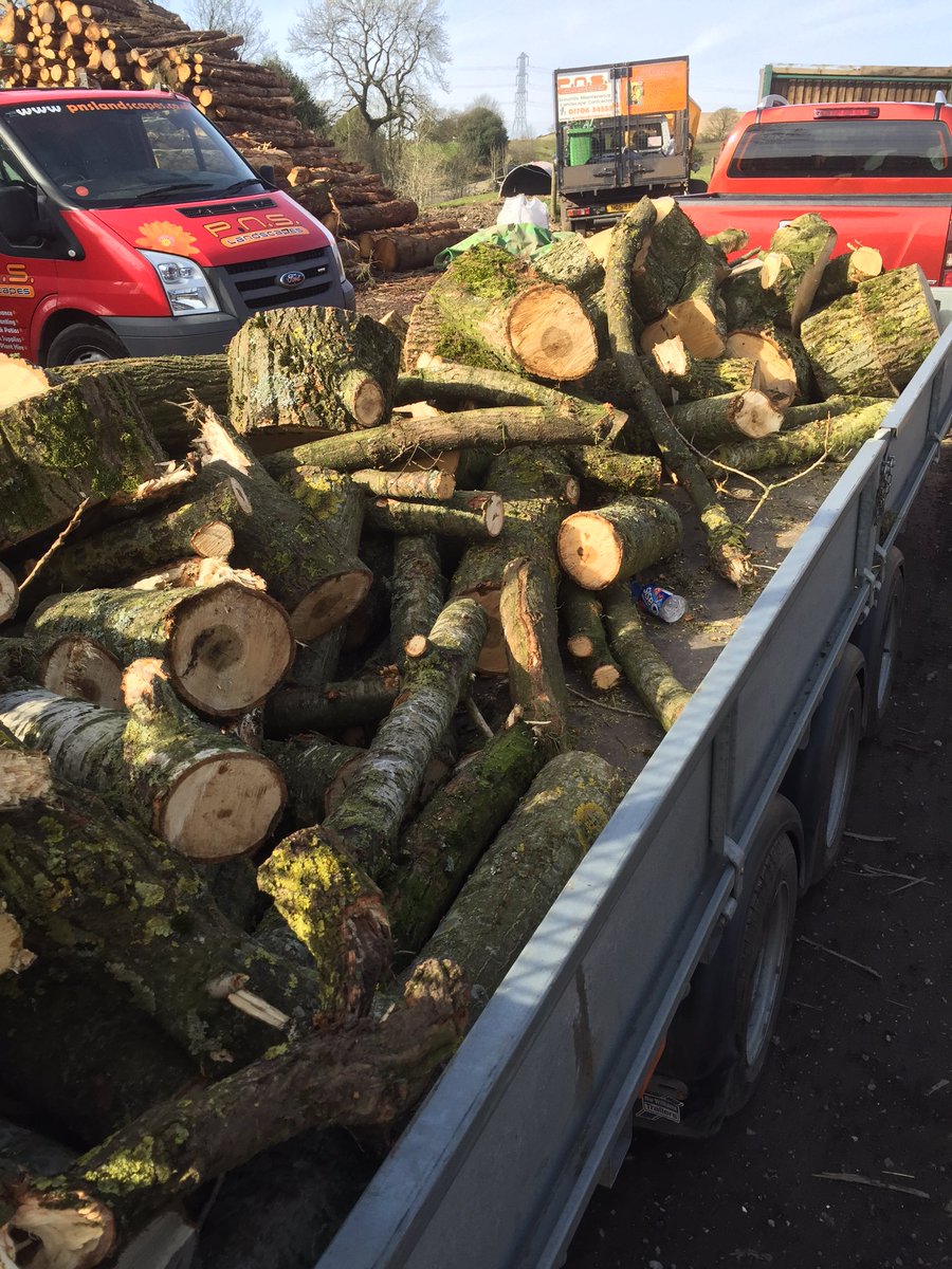 lucyslogs's tweet photo. Happy Bank Holiday Folks!! 
Wet day for #logging https://t.co/ttgjGsVFIv