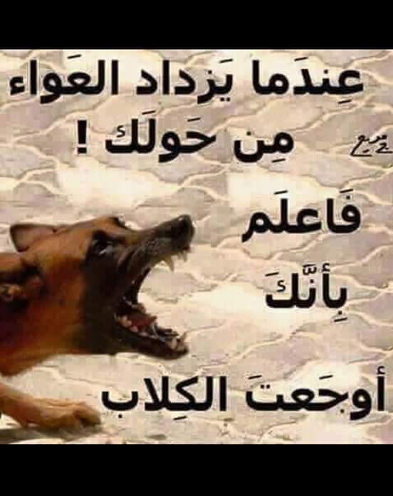 TabarakSaid tweet picture