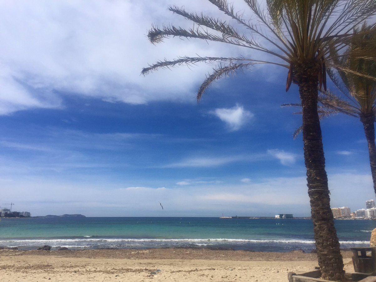 OBeachIbiza's tweet photo. Its starting to get warmer each week, summer is coming! #ibiza2016 #OB2016 we can't wait! https://t.co/YXokJBkd3g