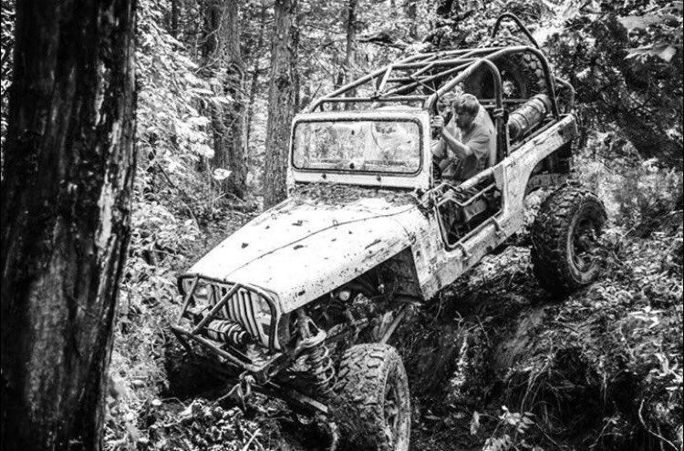 rpx53's tweet photo. Making your own trail! @THEJeepMafia #Itsajeepthing #JeepWave #JeepLife #JeepFamily https://t.co/kKjRGas1LA