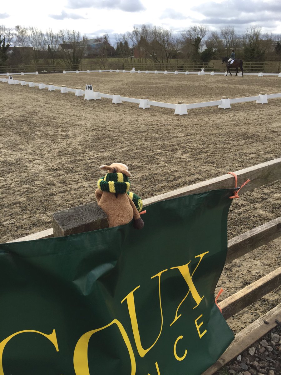devoucouxWESTUK's tweet photo. Happy Easter ! Dressage day at Allens hill! #devoucouxberry @chiefchemopony #devoucouxteam https://t.co/dAYHV43YUN
