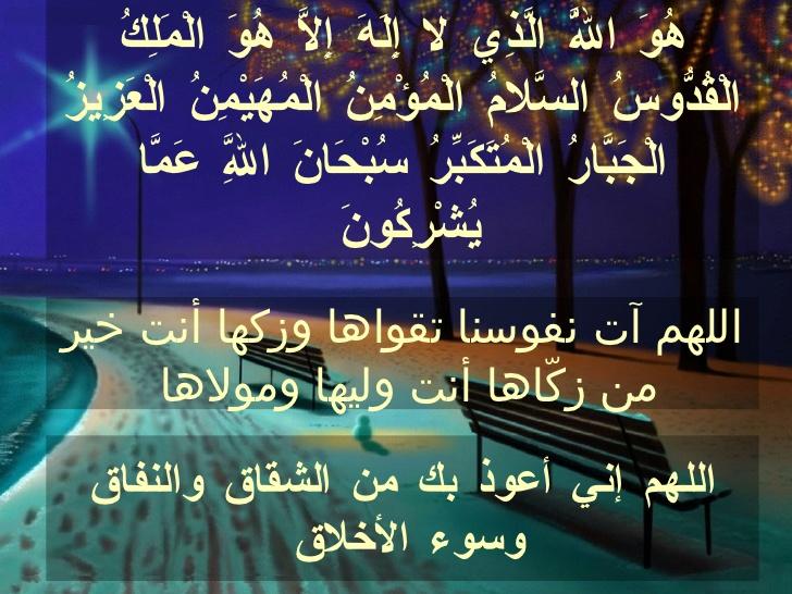 <a href="/snsrour/">Sona Srour</a>