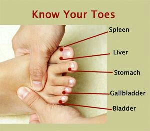 LearnShiatsu's tweet photo. Know your toes where the #meridians start or end in the #toes https://t.co/SSqHnNO9ot