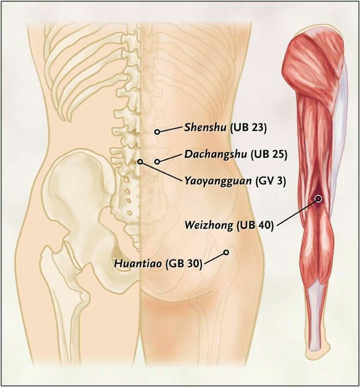 LearnShiatsu's tweet photo. Some great #pressure points for lower #back #pain https://t.co/ai0VQ9ikUO