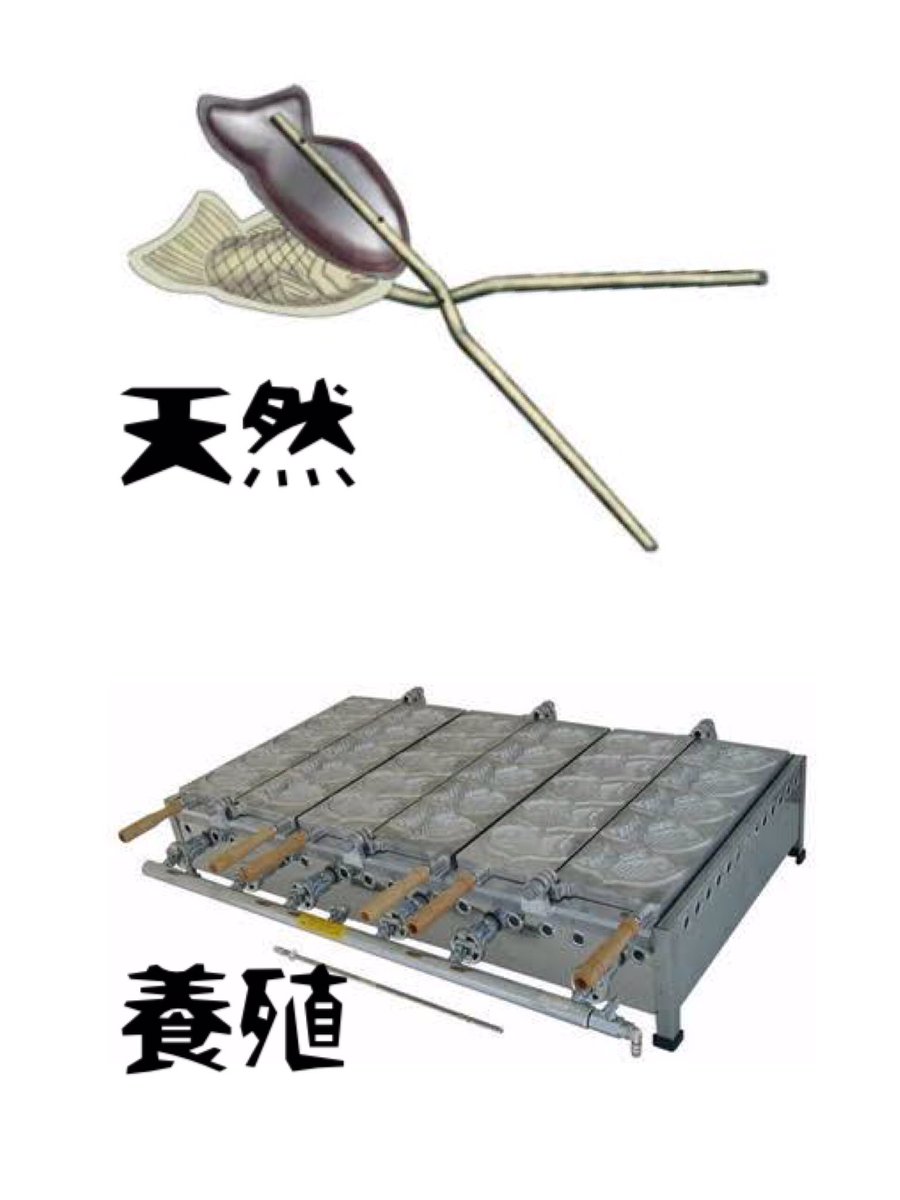 たい焼きに天然モノと養殖モノの違いがあるって知ってた 違いを見分ける方法とは ついラン