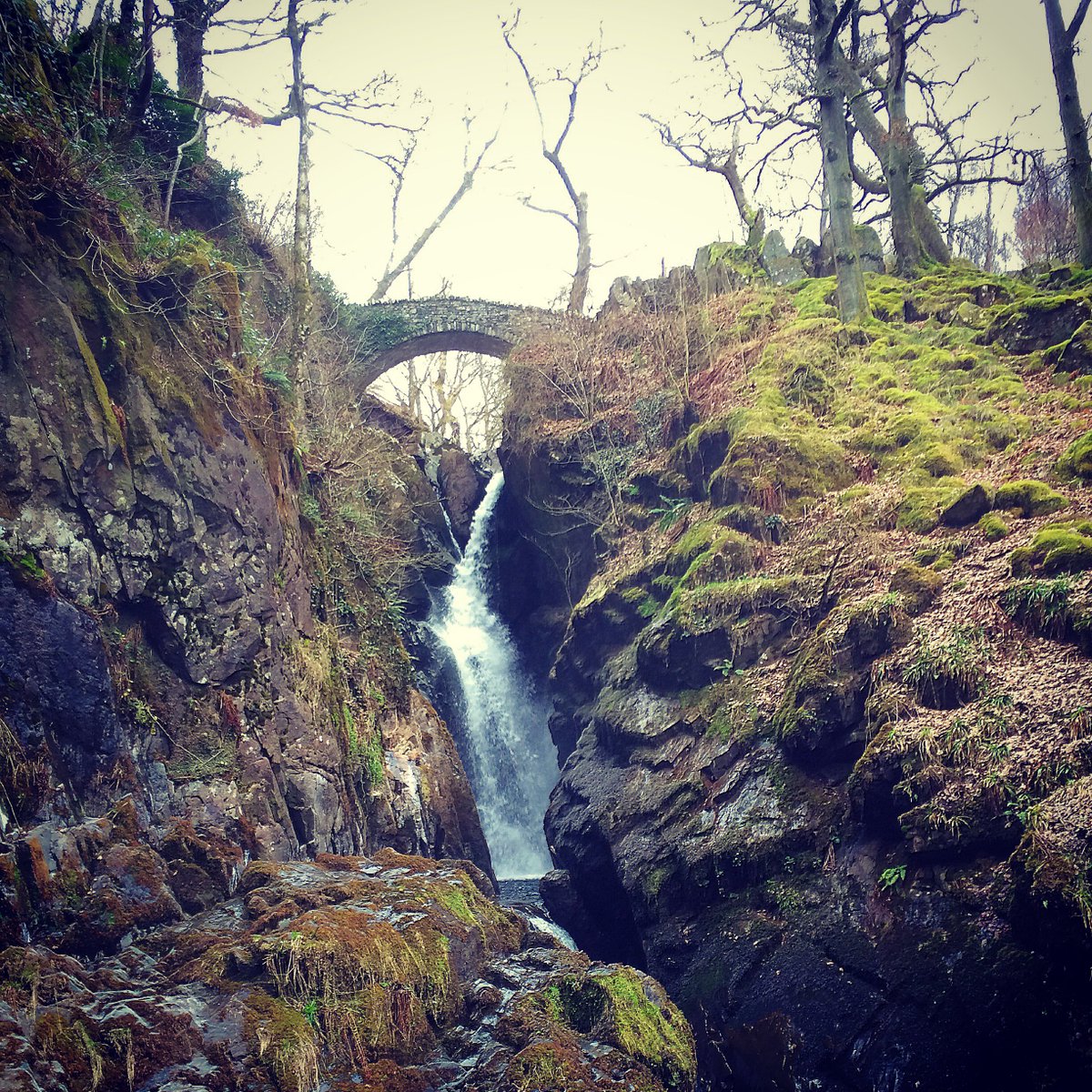 CotswoldReading's tweet photo. Can anyone guess the location? 
Our Honesty was lucky enough to be at one of our catelogue photoshoots last week! https://t.co/AZIFPRMcyH