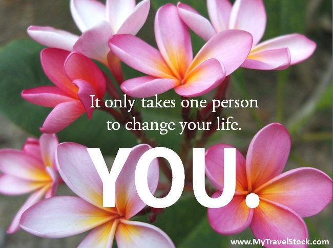 My Travel Stock tweet media