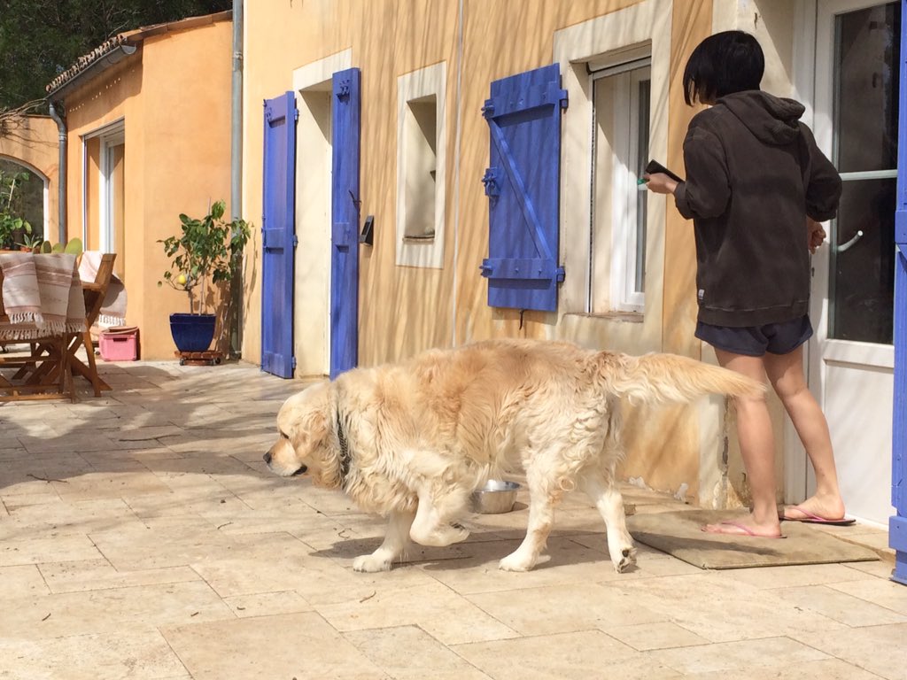 GaetanGrieves's tweet photo. C'est l'heure du point #ConDeChien pour @Syll20x  avec un peu de @Vyvarium dedans https://t.co/QsViraFSbO
