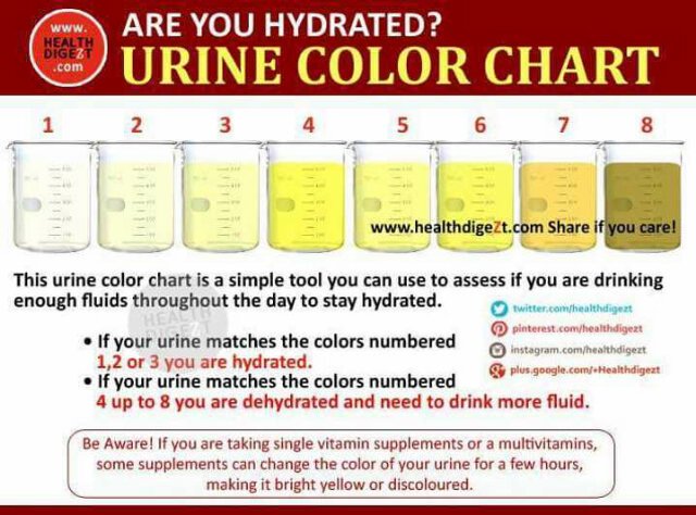 Hydration Level Chart