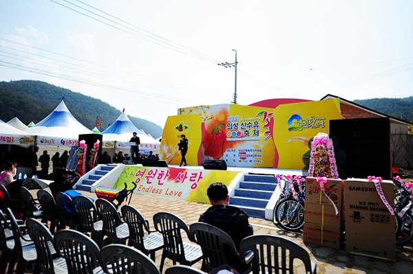 노란 산수유가 활짝 핀 축제에서 사진을 찍으면  좋은 추억을 쌓을 수 있겠죠? 아직 축제가 계속되고 있으니  산수유 축제에서 봄을 느껴보세요^^ #산수유축제 #경북의성 #봄꽃 #봄맞이