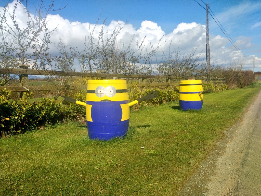 Cuttingfoam's tweet photo. You can't beat having Minions cheer you on when out for a spin #cycling #mycyclingweekend https://t.co/soNhZUkWAw