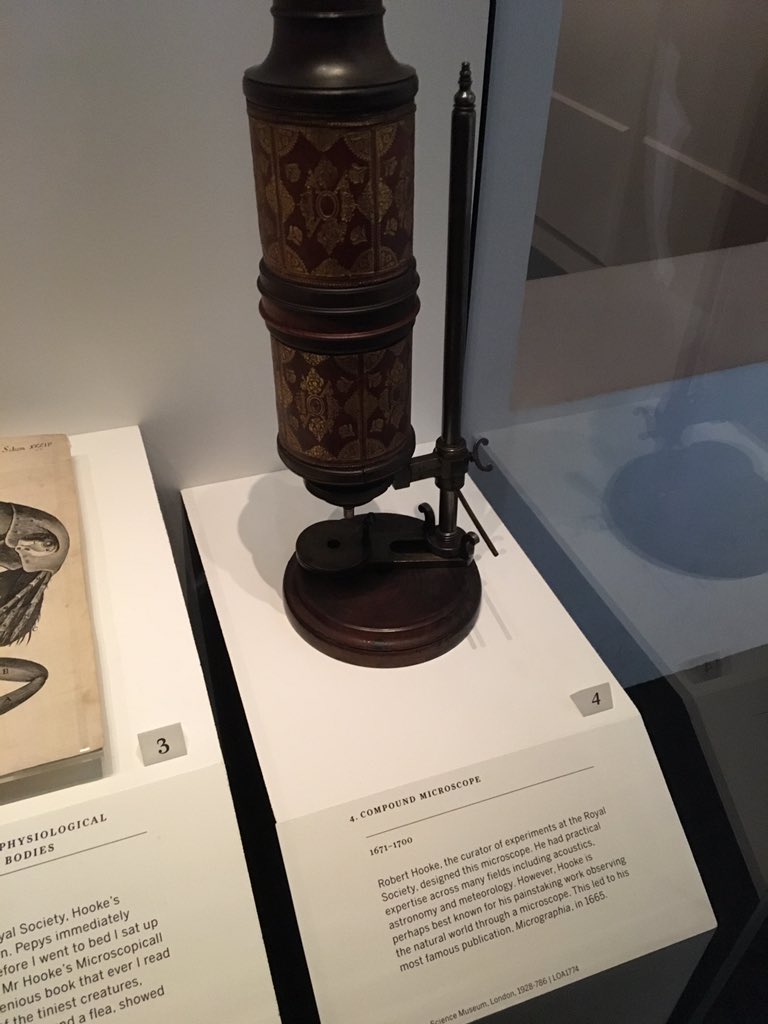 flygirlNHM's tweet photo. Today at @NMMGreenwich enjoying the #PepysShow and saw #Hookes #flea - happy entomologist https://t.co/KNuozitEA9