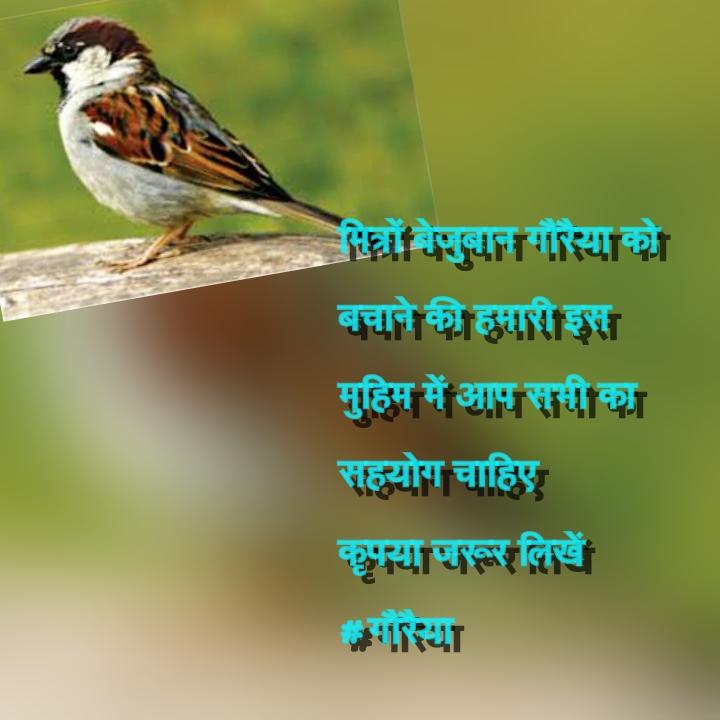 आइए हम सब मिलकर #गौरैया  बचाएं
कृपया इस टैग पर आज शाम 5 बजे
से जरूर लिखें.... 🙏🙏🙏
👇👇👇👇
#गौरैया