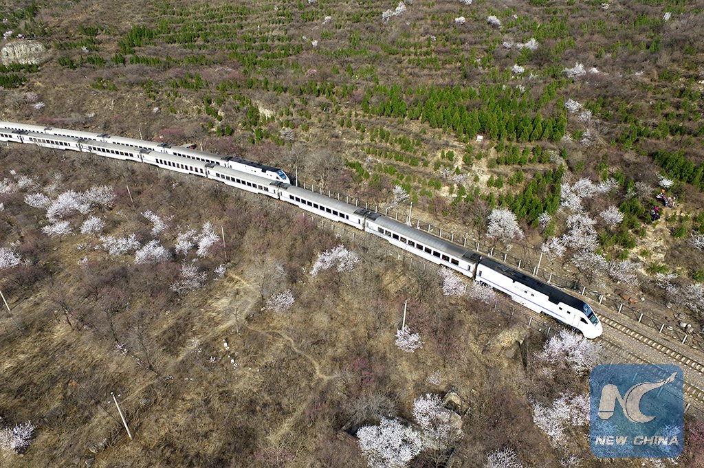 XHNews's tweet photo. A high-speed train runs through the sea of blooms in Beijing. Spring is coming https://t.co/2uTyu5MrpK