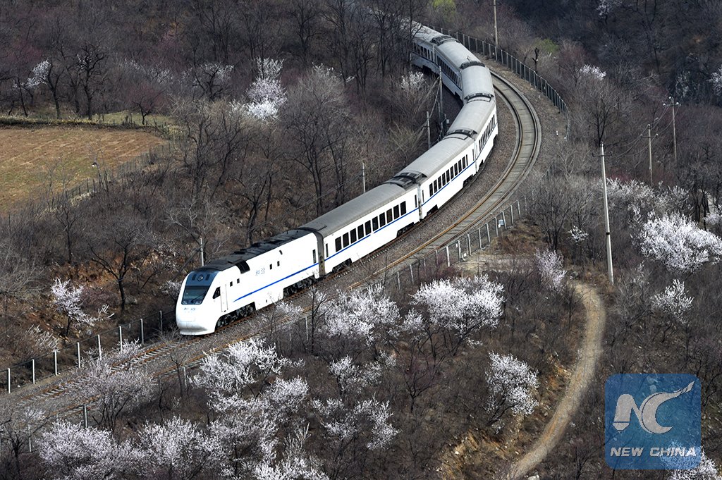XHNews's tweet photo. A high-speed train runs through the sea of blooms in Beijing. Spring is coming https://t.co/2uTyu5MrpK
