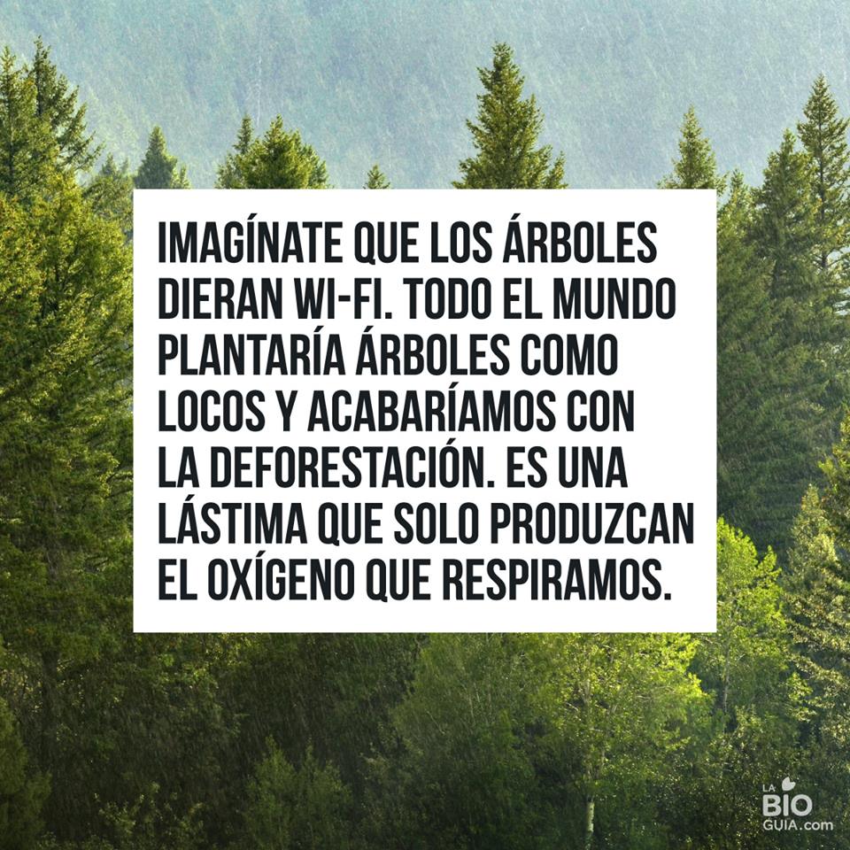 Ecogranjero's tweet image. Ellos proveen sombra,refugio de animales,limpian el aire y alivian el calentamiento global.Son muchos los beneficios