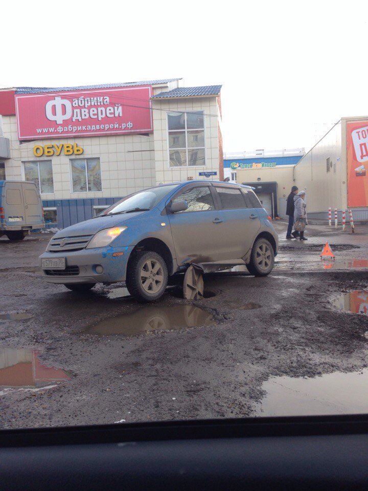В оккупированном РФ Крыму новый карантин. Обнаружена болезнь Ньюкасла у птиц - Цензор.НЕТ 7873