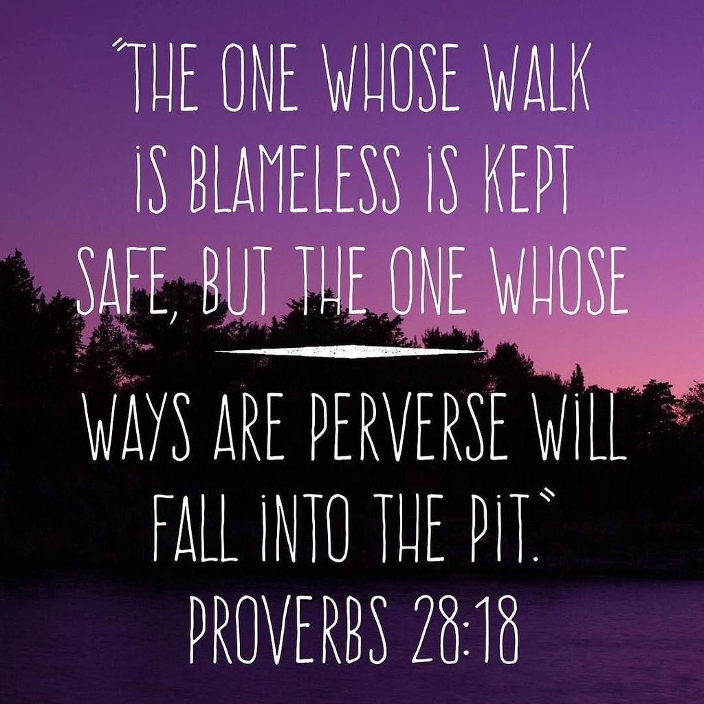 JasonChenoweth's tweet photo. #Proverbs31DayChallenge #Proverbs28 https://t.co/PiKw4P7rbK https://t.co/HBFhzM21zH