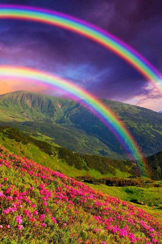 cupidpoetry's tweet photo. @GloriaMann22 @cupidpoetry #GoodMorningSis https://t.co/OYMOiQ0Exo