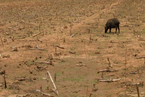 uoftalumni's tweet photo. Why not think big? @UofT professor wants to build 8,000 km water pipeline across Africa. https://t.co/DG7D8DnEnO https://t.co/XdvjVDFxGl