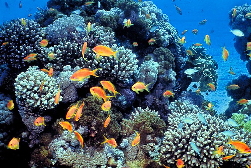 Beth Smart tweet media