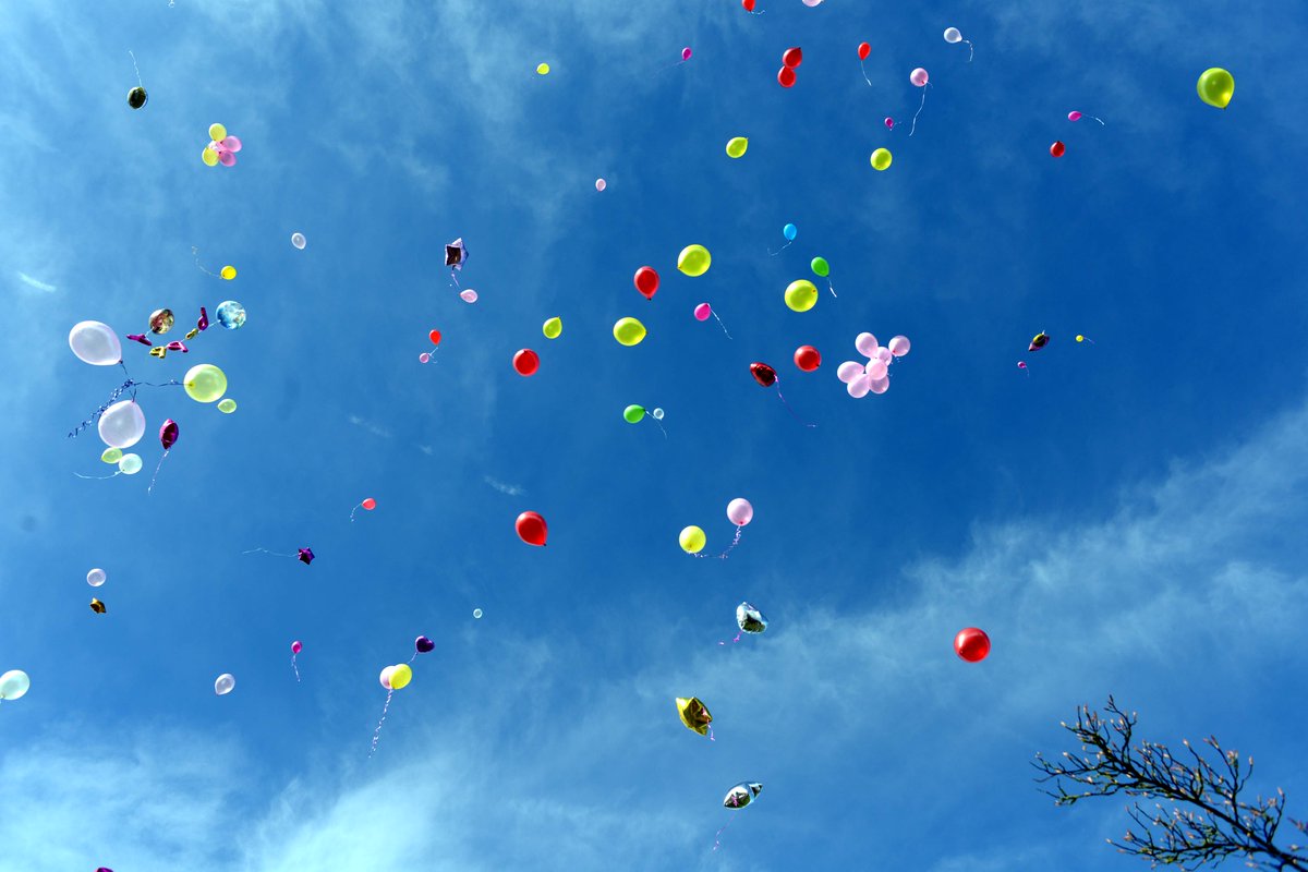 IN PICTURES: Hundreds of balloons released in tribute to brave Poppy-Mai

lancashiretelegraph.co.uk/news/14387833.…