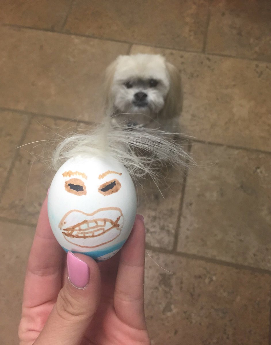 lexi_watts's tweet photo. My brother-in-law cut off my dogs hair to make Trump's hair for his Easter egg... #Trump #DonaldTrump https://t.co/JVwMZMP184