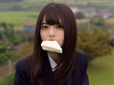 ishijimat201's tweet photo. あしゅの誕生日8月10日までに810RT目指します！乃木オタの力があれば達成できると思います！なので、推しの方もそうでない方もRTよろしくお願いします！

#齋藤飛鳥生誕祭
#拡散希望 
#乃木坂46
#RTした人全員フォローする https://t.co/Lj1oADfggF