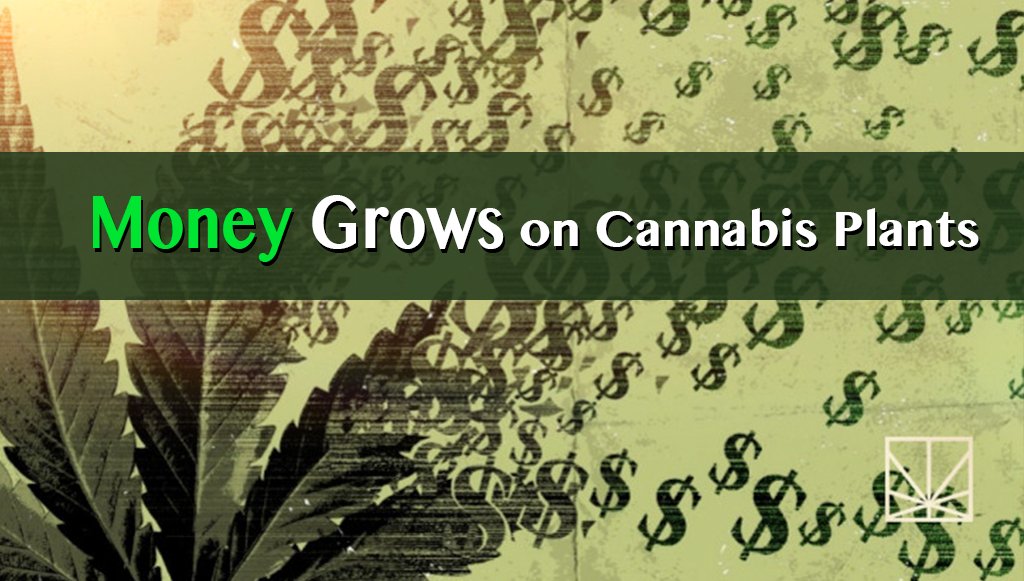 ctmmps's tweet photo. An enormous market with an enormous economic impact!! #ctmmj #ctmmp #ctdcp #legalizect https://t.co/RJnyejrxYx https://t.co/XkRzuorL6m