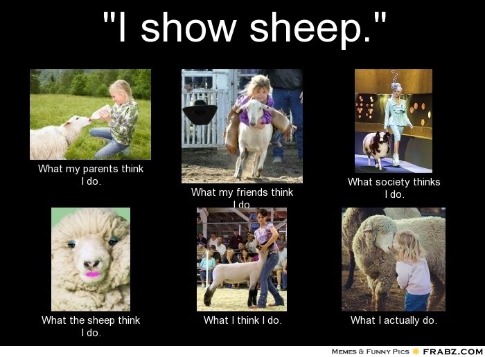 Club Lamb Directory (@clublambdirect) on Twitter photo 