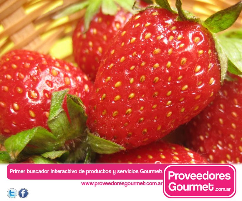 ProGourmetOK's tweet photo. Tenemos una mañana muy #dulce #repostera y con los mejores ingredientes #proveedores https://t.co/tBJJ2mFfyD https://t.co/e8kXRdelgl