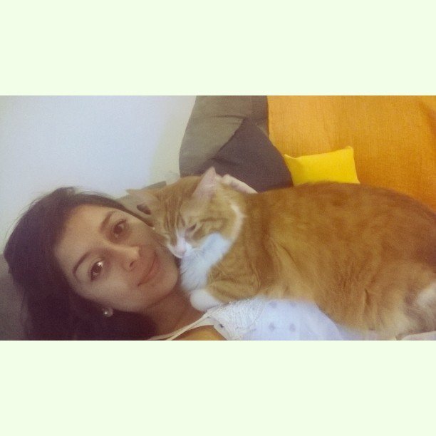Chatchatcatcat's tweet photo. Sendo meigos 😍😻 #gatos #instacat #otto #ottothecat by jubemfic https://t.co/lNM6QVmb4L