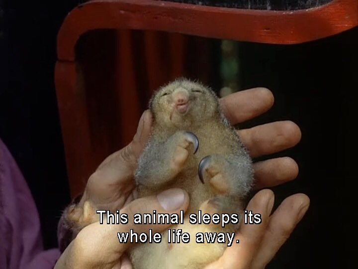 kyz_txt's tweet image. "Spring break"