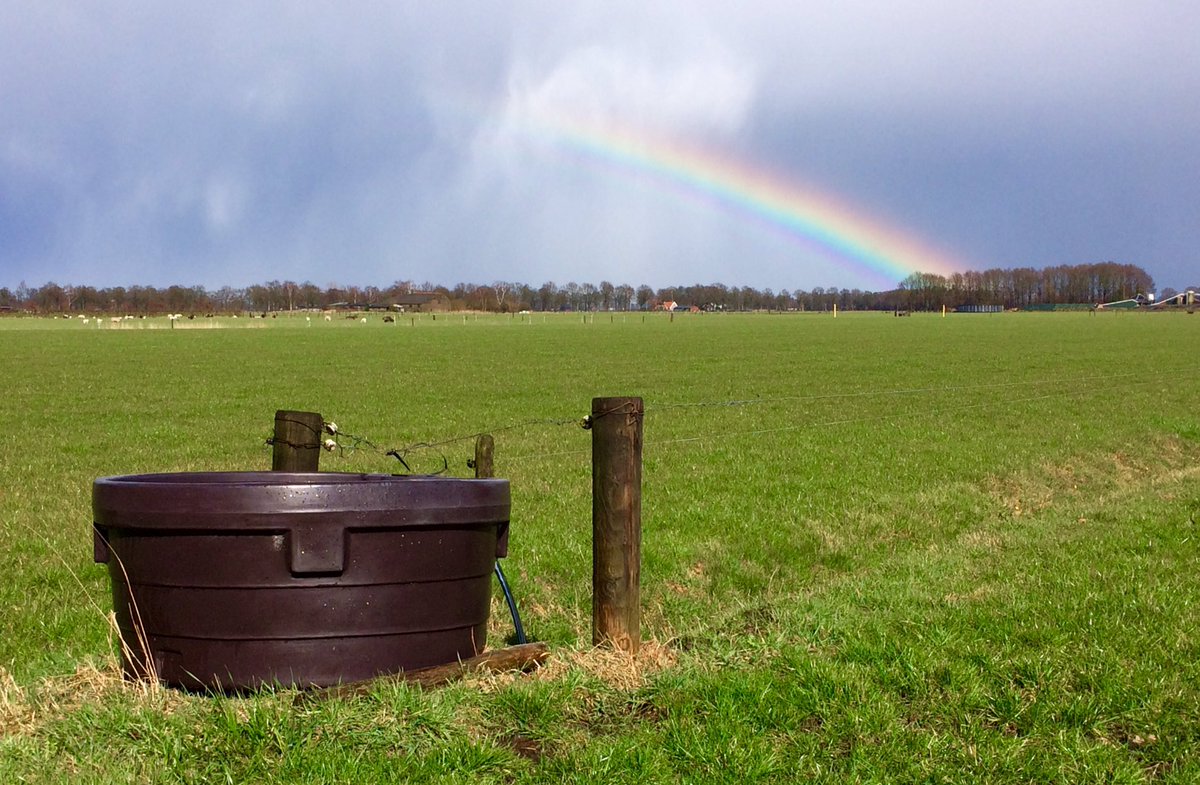 leo_kemper's tweet photo. #Hagel en daarna vette #regenboog op de #Eekte #Boetelerveld @volgdenatuur https://t.co/yVexZOLt0h