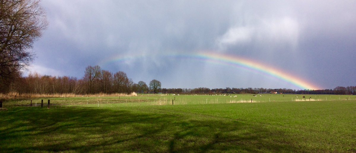 leo_kemper's tweet photo. #Hagel en daarna vette #regenboog op de #Eekte #Boetelerveld @volgdenatuur https://t.co/yVexZOLt0h
