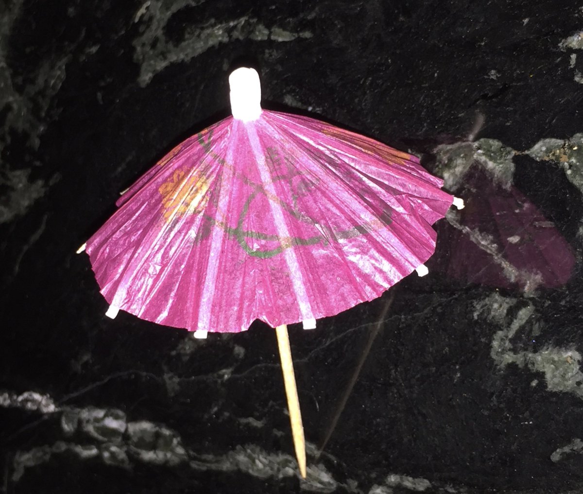 Coming to the Gills Rock Coffee shop in May.  Hint: it's not what you think!