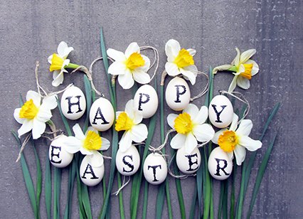 flowersca tweet picture