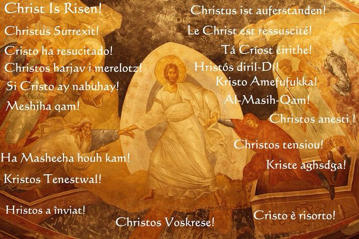 St. Vincent de Paul (@stvchurchbalt) on Twitter photo 