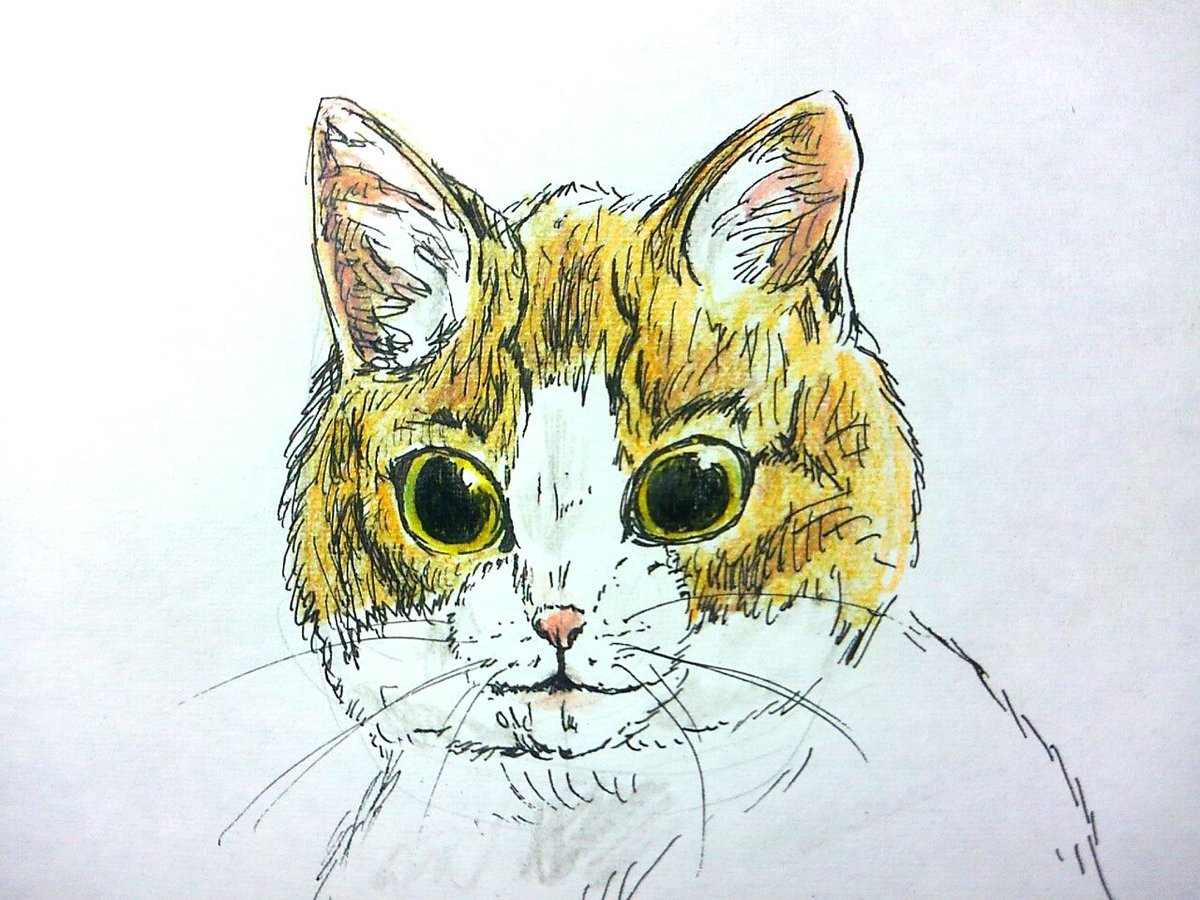 tarminalblock's tweet image. #ColorTuning
ざざっと色塗るだけでもまた違うなぁ