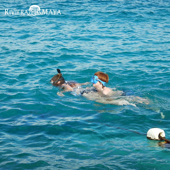 RivieraMaya's tweet photo. Visita #Cozumel y ten un día muy divertido practicando  snorkel o buceo en Chankanaab. https://t.co/S76jE1mrEc