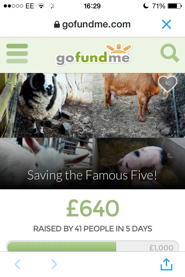 AnimalCrusaders's tweet photo. Help save these 5 animals from slaughter and rehome them! https://t.co/bPqHCCBU2c PLEASE RETWEET! #vegan #animals https://t.co/I1PnL4iCbg