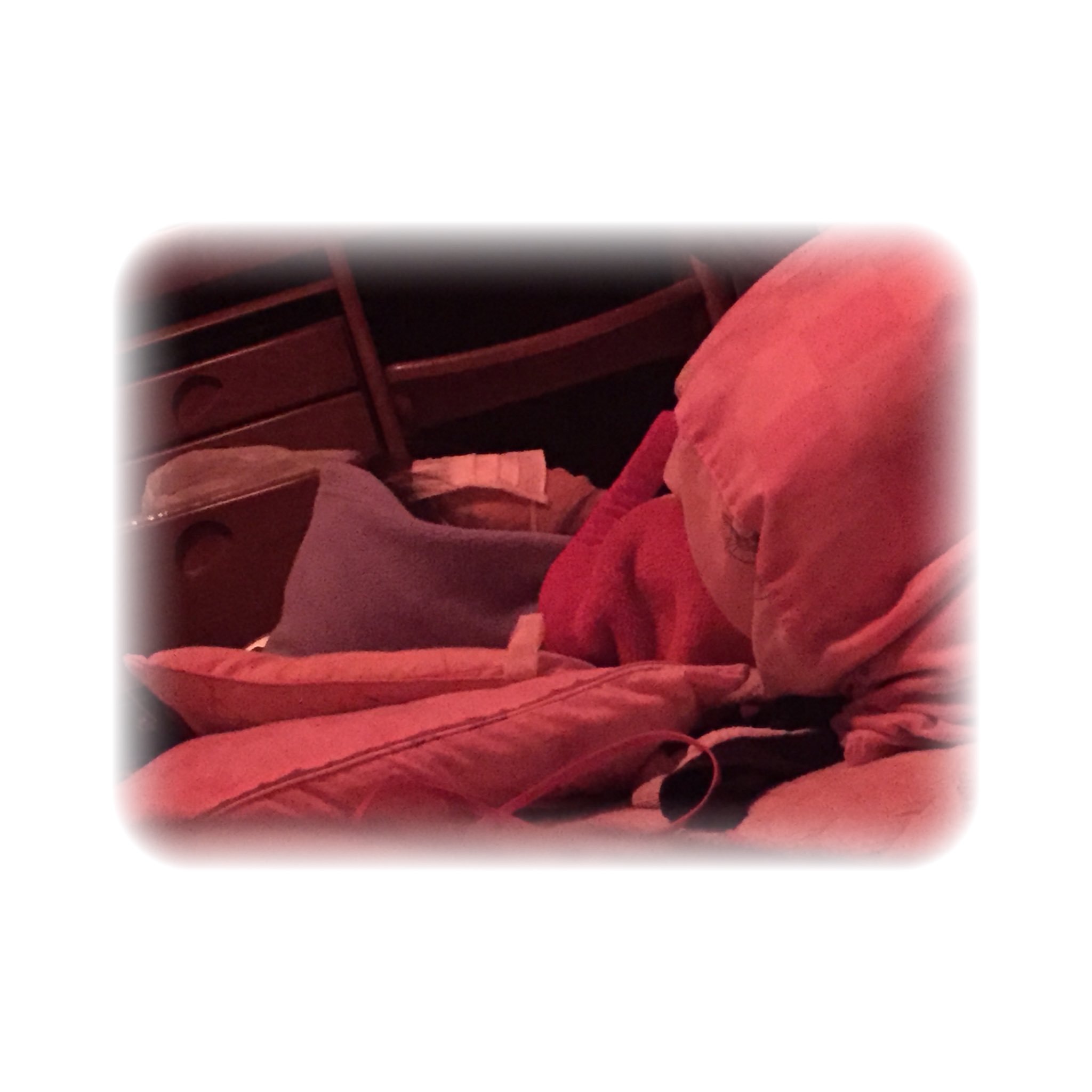 Sumire Ar Twitter こっそりあおいの寝相集 アイプチしながら寝るから半目になってゴミ入るからアイマスク 毛布の横のピラピラに絡まってる 寝てる間も煉華意識 ロールケーキになってた T Co Nlx8bymzq6