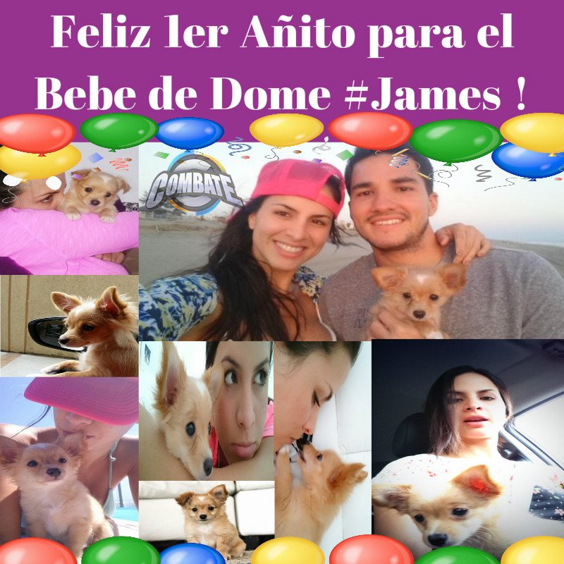 Combate_RTS_Ec's tweet photo. Hoy el Bebe 🐶 de @DomeSprt esta Cumpliendo su Primer Añito🎉🎈 junto a Nuestra #ReinaDelPrimeTime #FelizPrimerAñoJames https://t.co/2bVYNY7P9e