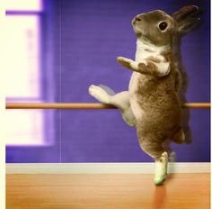 gdc_media's tweet photo. Just a reminder we are open Easter Monday for classes! https://t.co/GutyNcVF6L