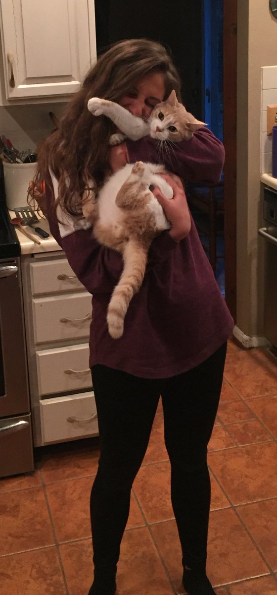 kyriePurr2's tweet photo. I'm only tolerating this because you feed me 😑 https://t.co/XIjVR8Y7KX