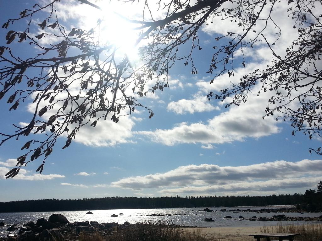 lailahagglund's tweet photo. Vår i #Sörfjärden ! #myror, en massa plusgrader och blå himmel ! Kviddevitt ! https://t.co/jFpfqz4x7S