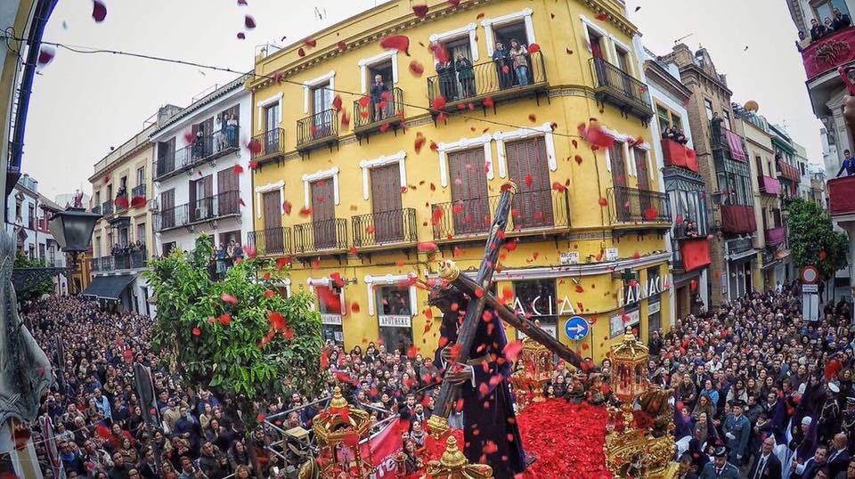 aAlvaroAguilar's tweet photo. Me quedo con esta imagen que disfruté en directo. El Señor de la Salud rebosando pétalos en su rostro. Hermosísima. https://t.co/FnKftBvgOX
